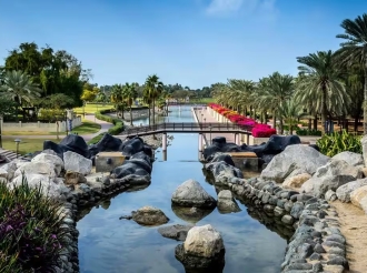 The Hidden Gardens of Dubai: Where Nature Thrives in the Urban Jungle