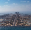 Indian SMEs Thrive in Dubai’s Free Zones - A Platform for Global Expansion