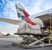 Emirates and Dubai Humanitarian Open Airbridge to Deliver Emergency Aid to Sri Lanka